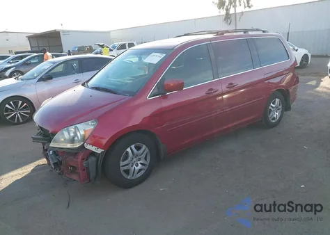 2005 Honda Odyssey Ex-L from USA, damaged, VIN 5FNRL38705B036183